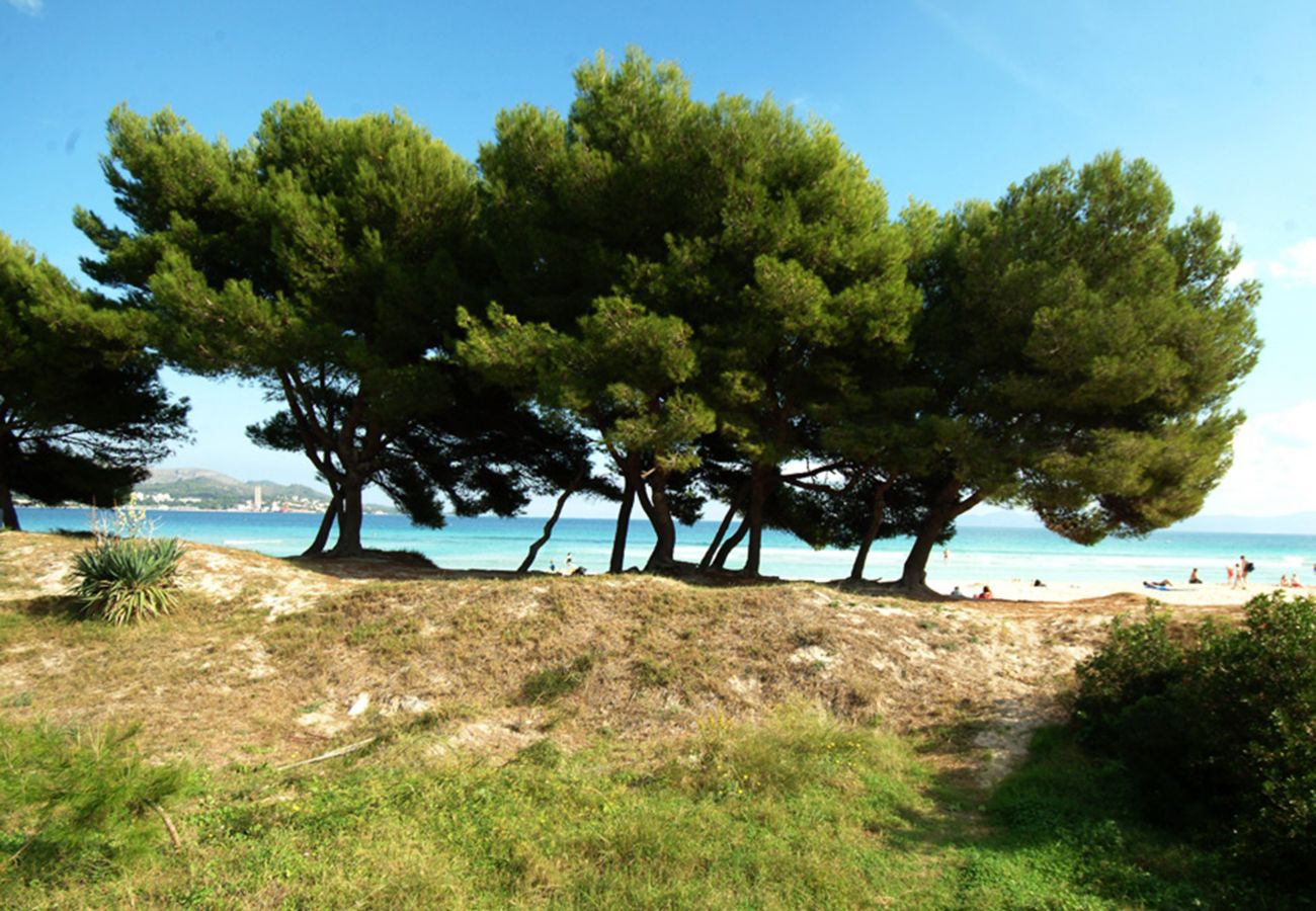 Apartamento en Alcúdia - A. Countess Attic E at Alcudia Beach