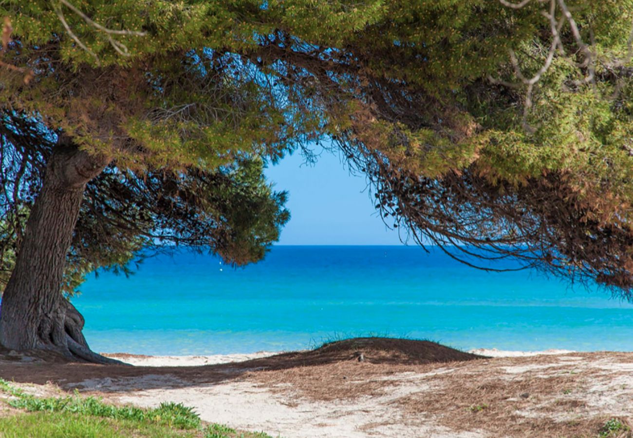 Apartamento en Alcúdia - A. Countess Garden D in Alcudia Beach