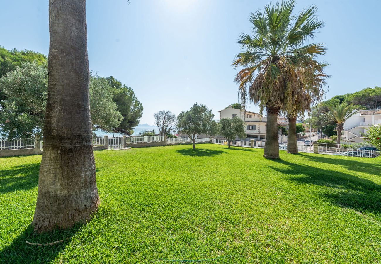 Apartamento en Alcúdia - A. Countess Garden D in Alcudia Beach