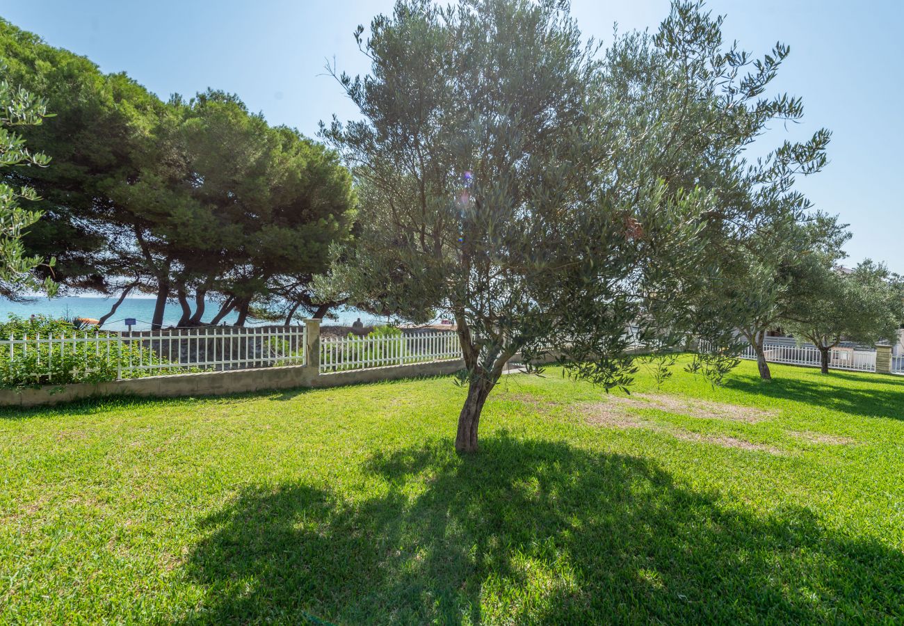 Apartamento en Alcúdia - A. Countess Garden D in Alcudia Beach