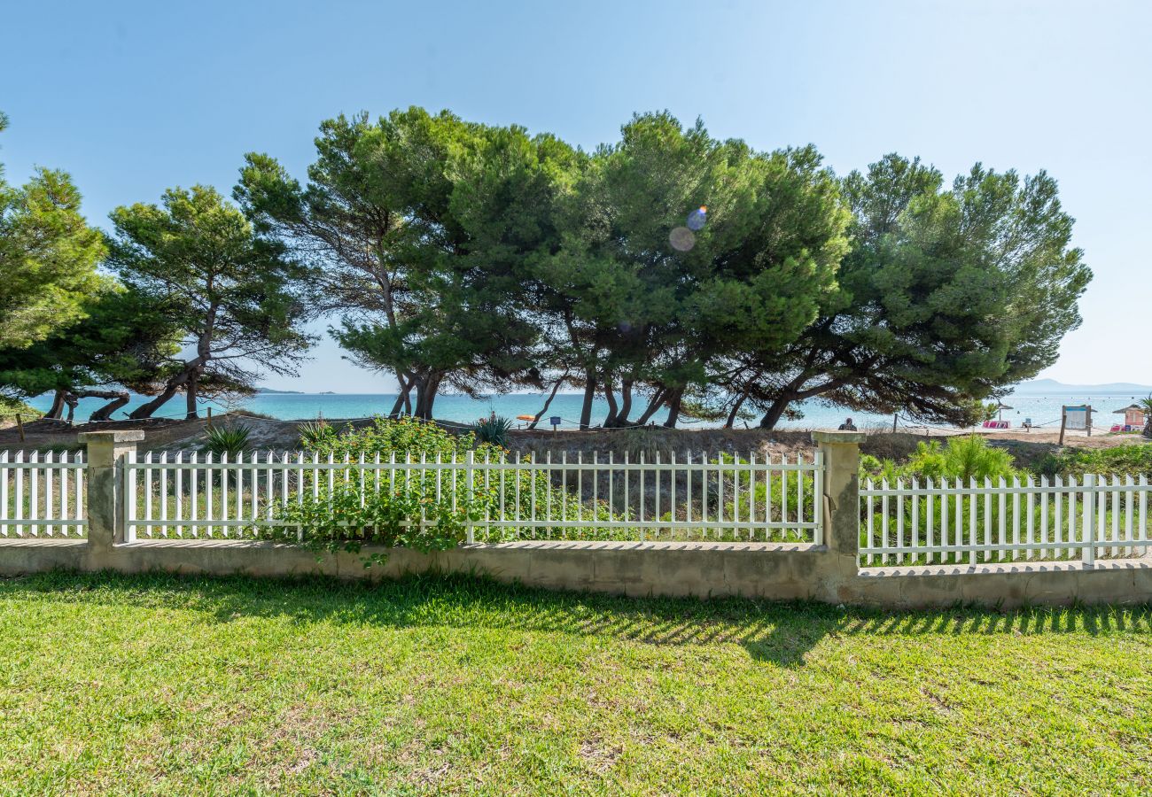 Apartamento en Alcúdia - A. Countess Garden D in Alcudia Beach
