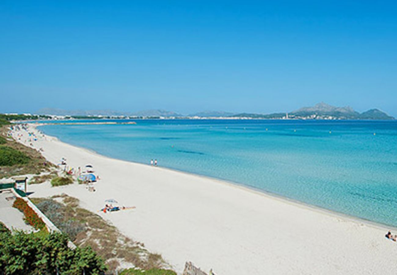Apartamento en Alcúdia - A. Countess Garden F in Alcudia Beach