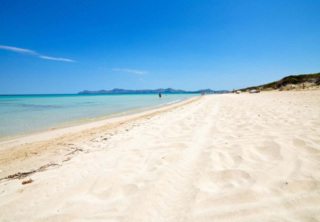 Apartamento en Alcúdia - A. Countess Garden F in Alcudia Beach