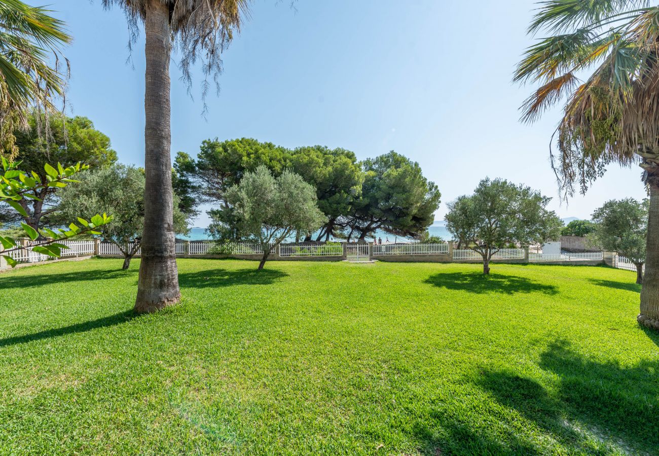 Apartamento en Alcúdia - A. Countess Garden F in Alcudia Beach