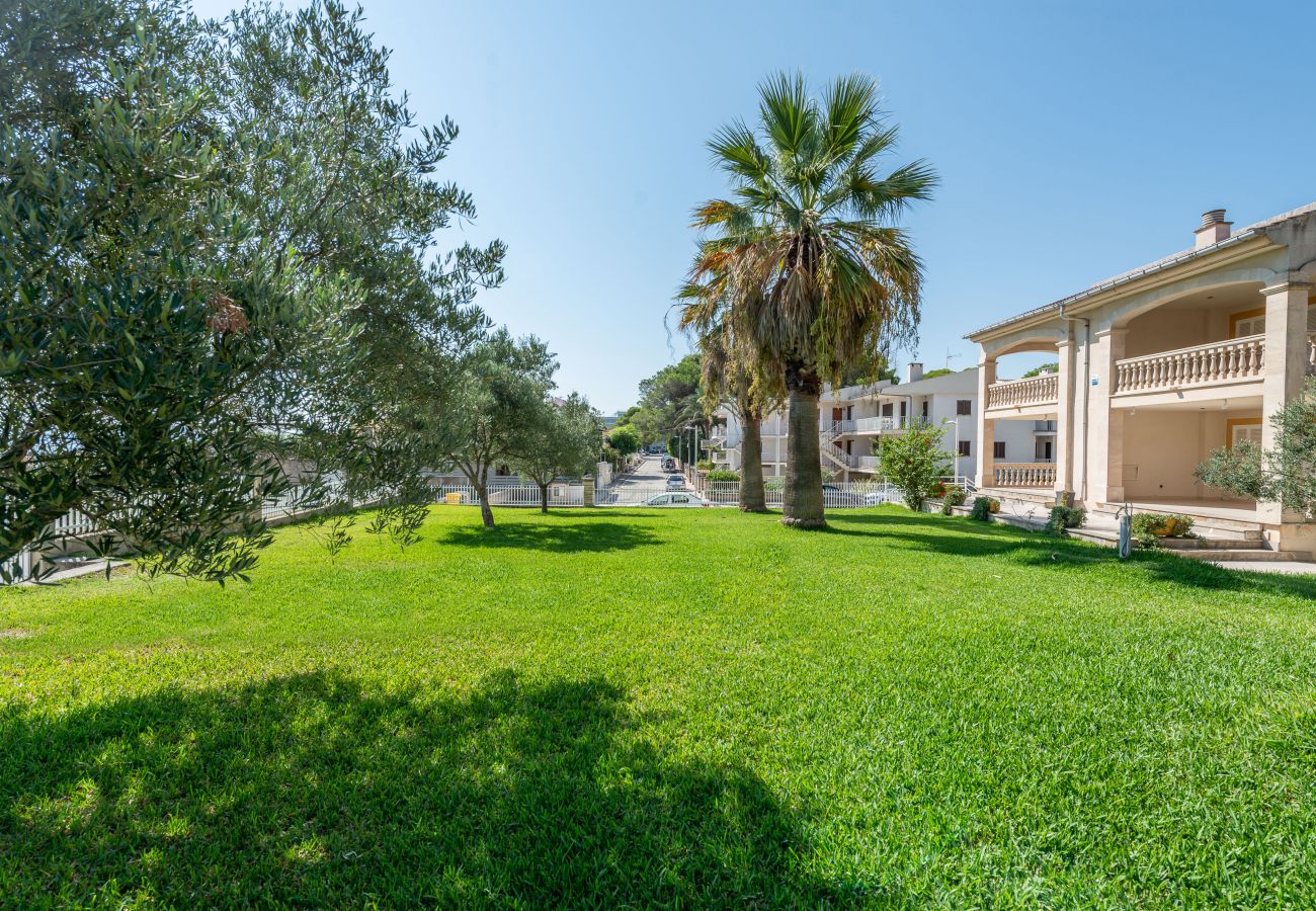 Apartamento en Alcúdia - A. Countess Garden F in Alcudia Beach