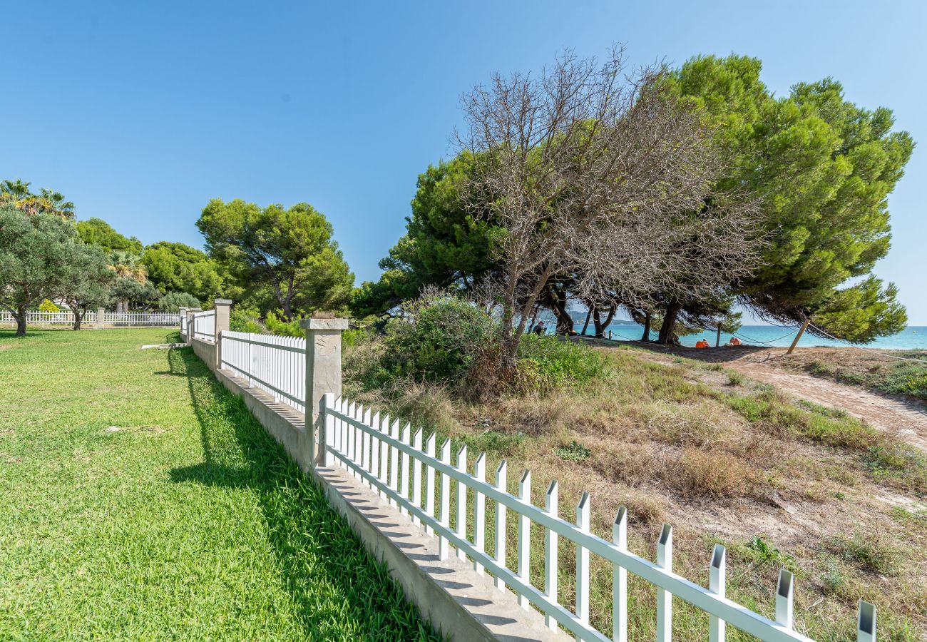 Apartamento en Alcúdia - A. Countess Garden F in Alcudia Beach