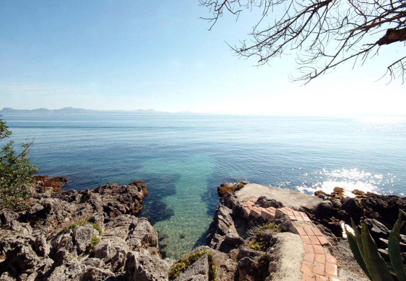 Apartamento en Alcanada - A. Alcanada Torre Mayor, vista mar