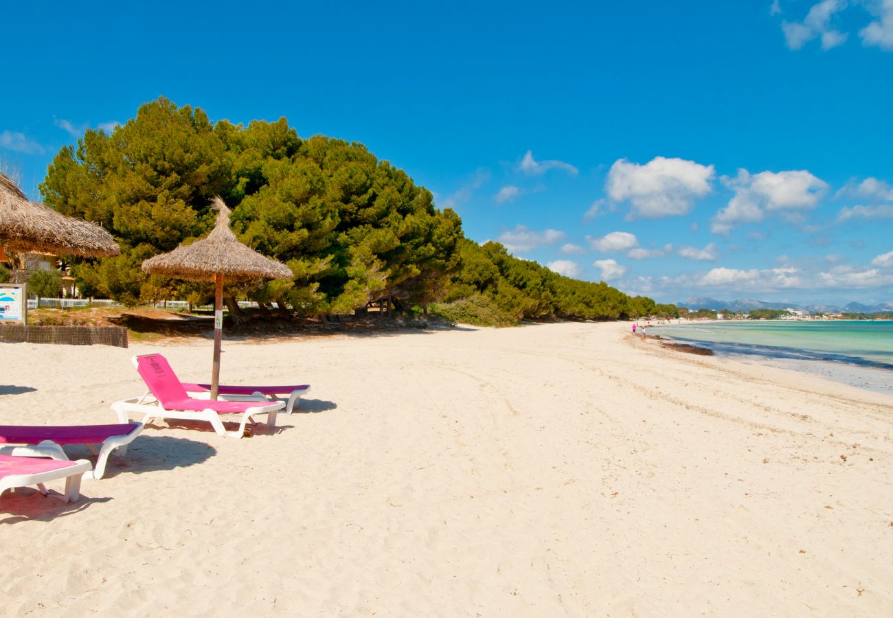 Casa en Alcúdia - A. Paradise Bay 5 in Alcudia Beach (Salzes 5)