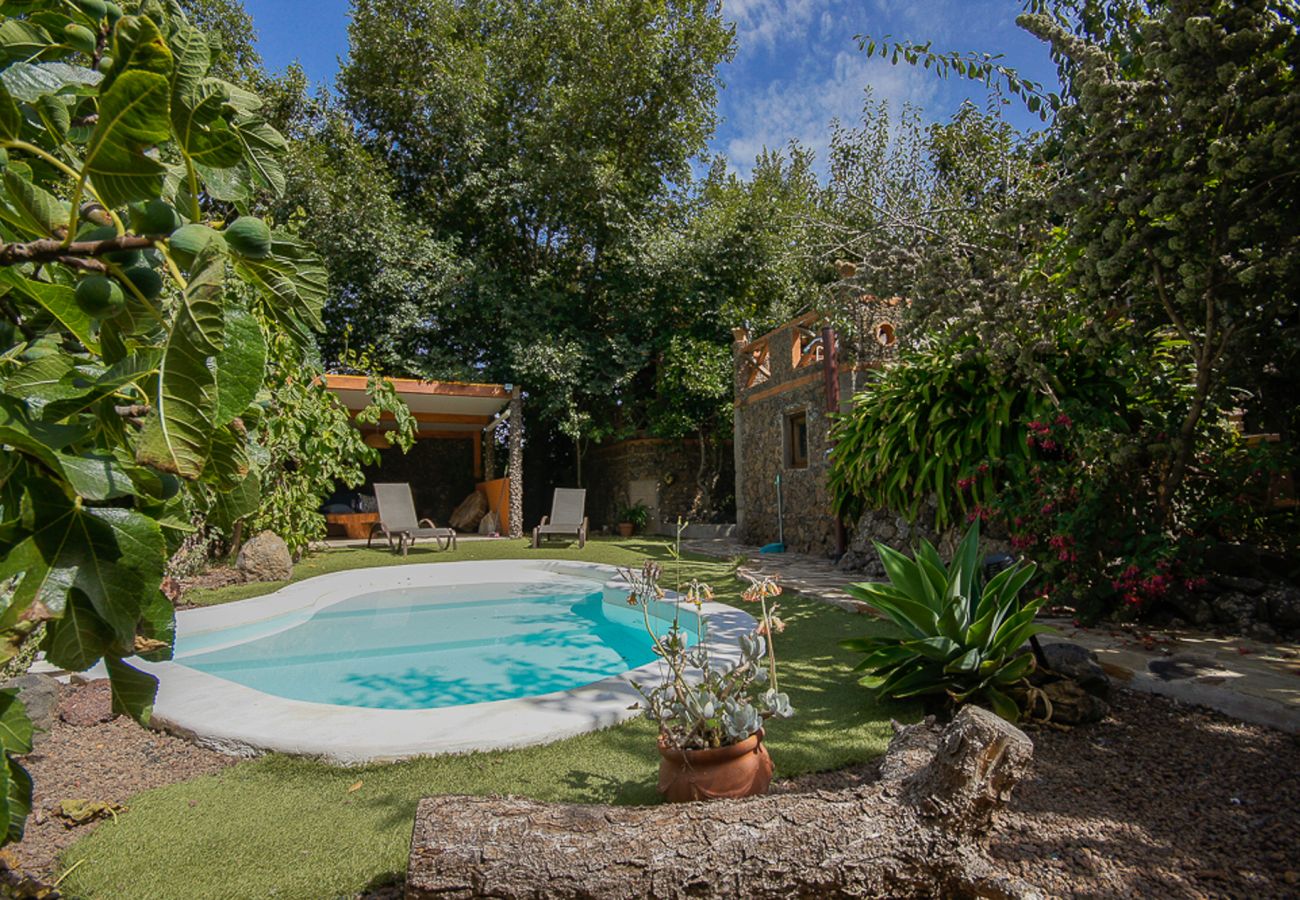 Casa rural en Valleseco - Los Matos by CanariasGetaway