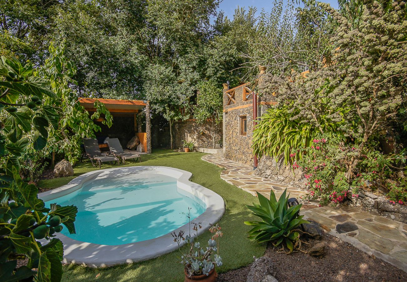 Casa rural en Valleseco - Los Matos by CanariasGetaway