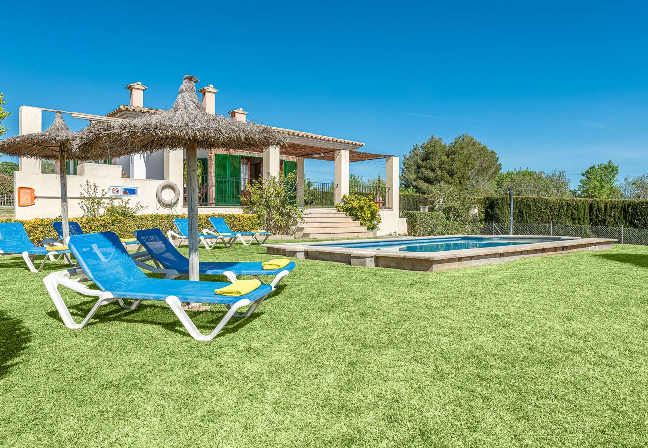 Villa en Alcúdia - V. Villa Tia Catalina d'Alcúdia (Son Rotger)