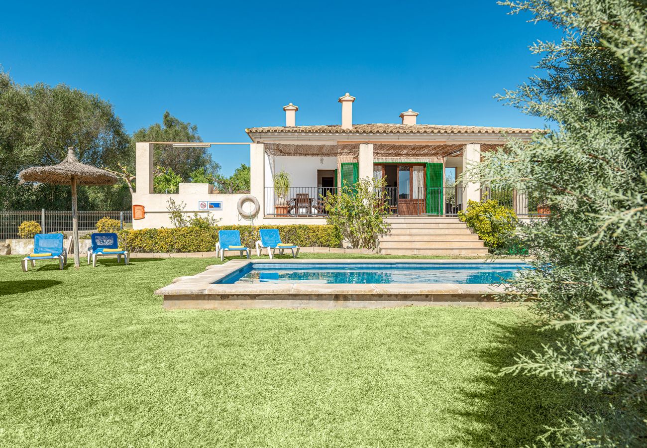 Villa en Alcúdia - V. Villa Tia Catalina d'Alcúdia (Son Rotger)