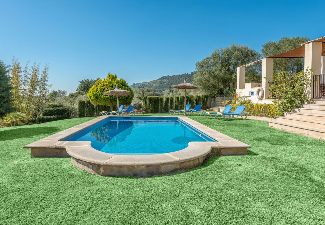 Villa en Alcúdia - V. Villa Tia Catalina d'Alcúdia (Son Rotger)