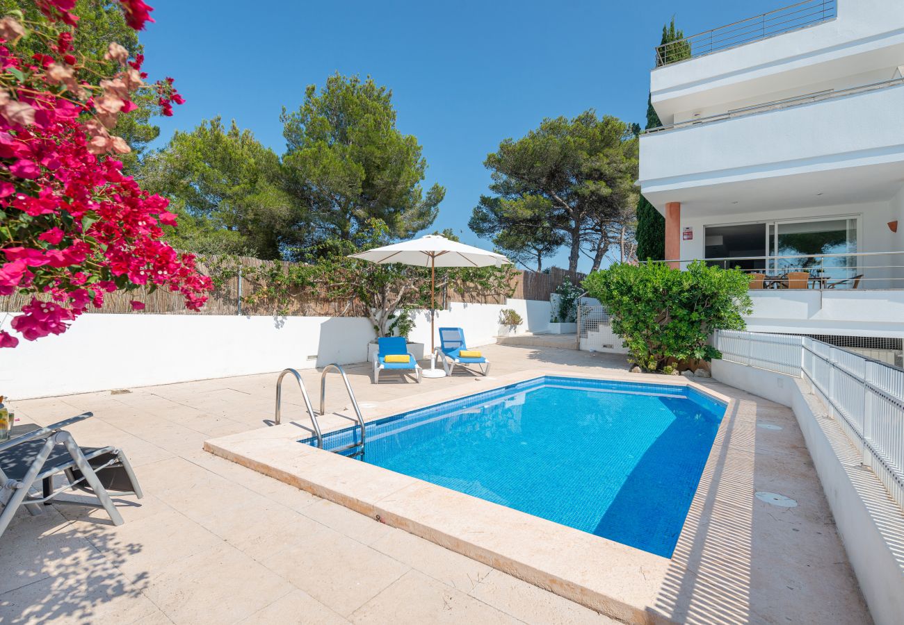 Villa en Alcúdia - V. Villa Violeta
