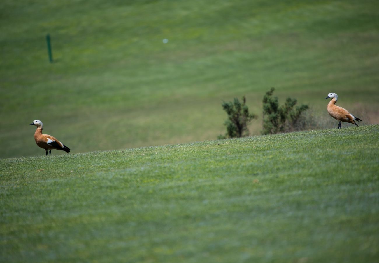 Villa en San Bartolomé de Tirajana - Golfers 5