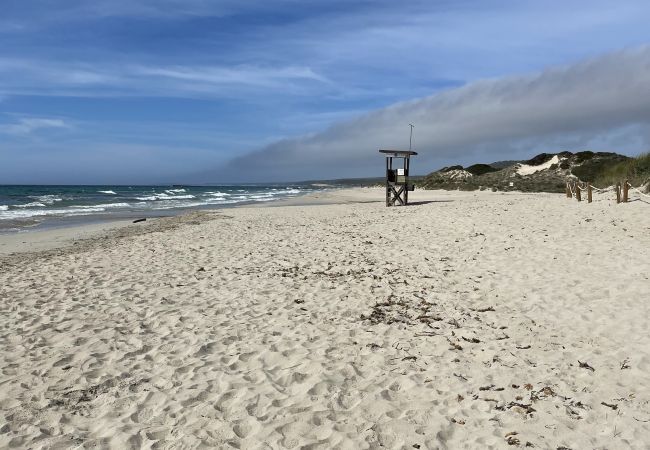 Apartamento en Son Bou - Apartamento SON BOU 53 Apartamento en Son Bou - Apartamento SON BOU 53