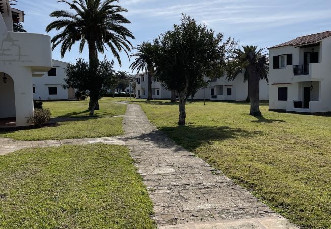 Apartamento en Son Bou - Apartamento SON BOU, 67 Apartamento en Son Bou - Apartamento SON BOU, 67